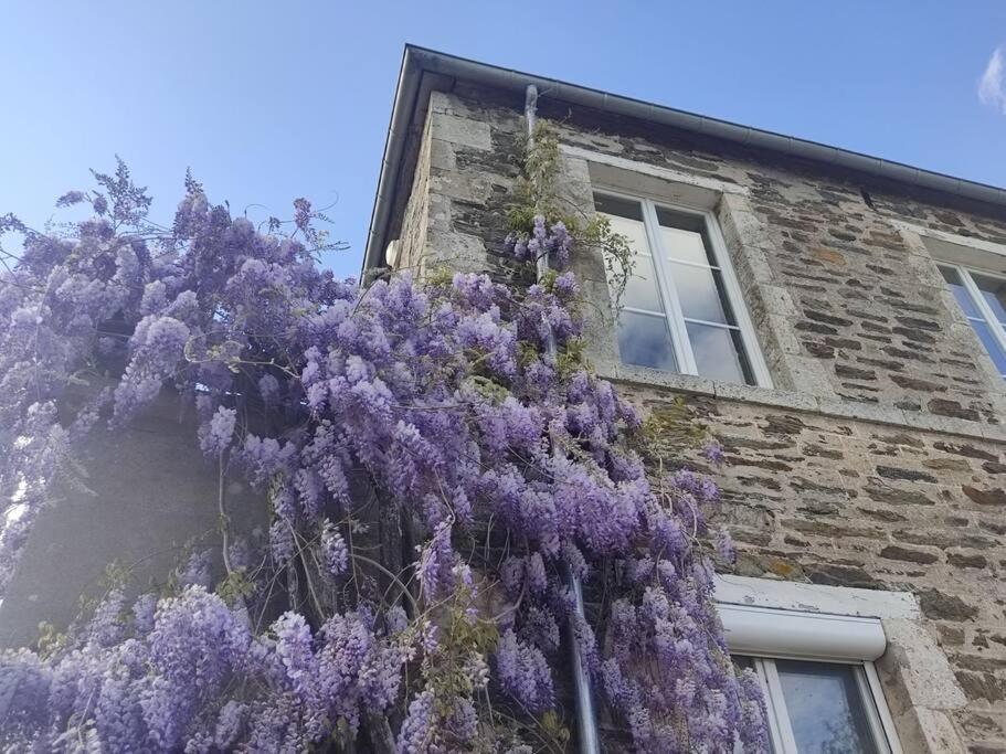 Le Vulcain Apartment Le Hommet-d'Arthenay Exterior photo