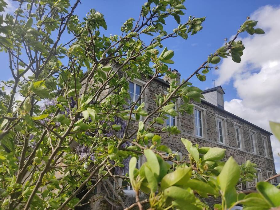 Le Vulcain Apartment Le Hommet-d'Arthenay Exterior photo